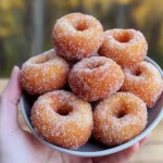 Classic Pumpkin Donut Holes