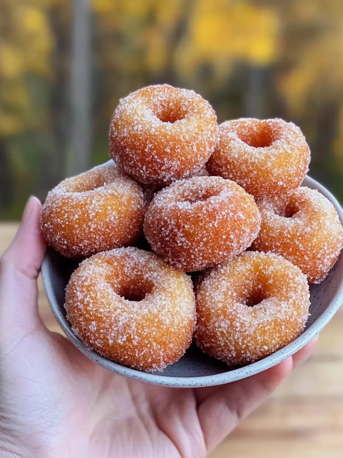 Delicious Classic Pumpkin Donut Holes Perfect for Fall Mornings 5 Classic Pumpkin Donut Holes