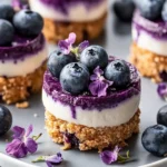 Irresistible Mini Blueberry Cheesecakes for Sweet Moments 10 Mini Blueberry Cheesecakes
